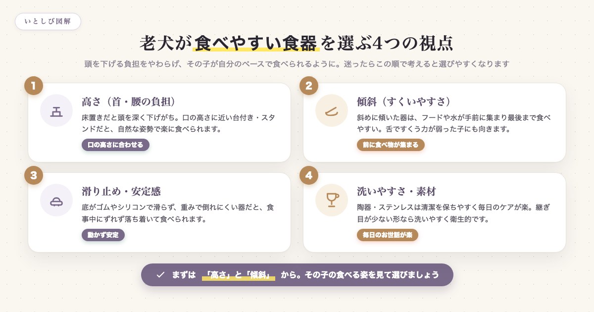 老犬が食べやすい食器を選ぶ4つの視点を示した図