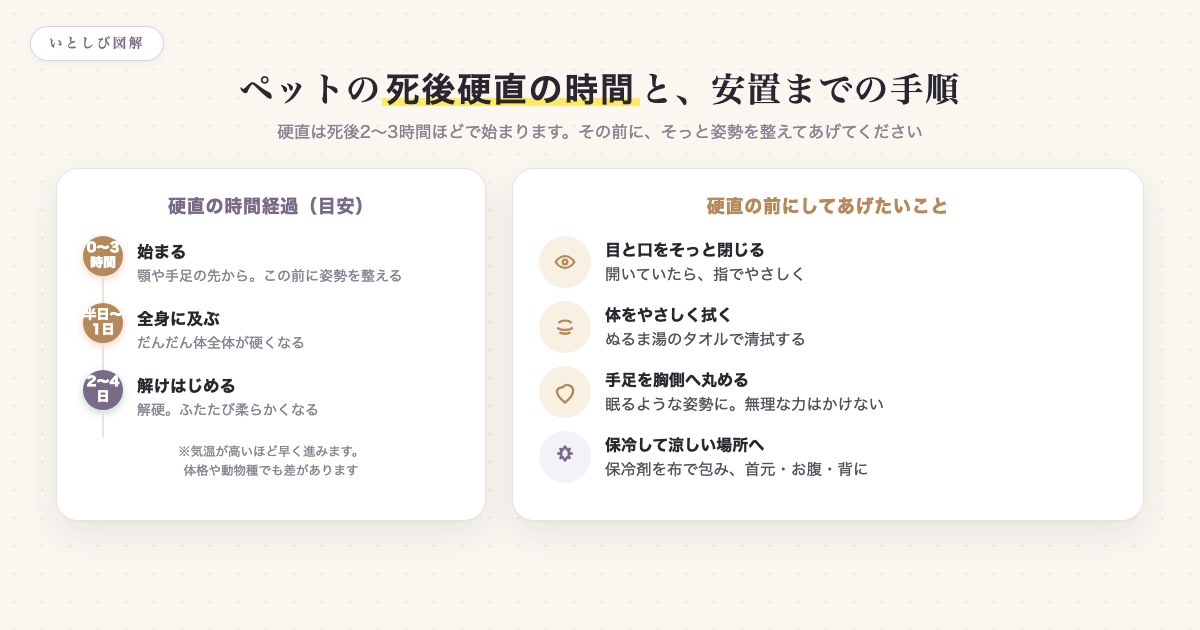 ペットの死後硬直の時間経過(2〜3時間で始まり、半日〜1日で全身、2〜4日で解ける)と、姿勢を整え保冷して安置するまでの手順を示した図