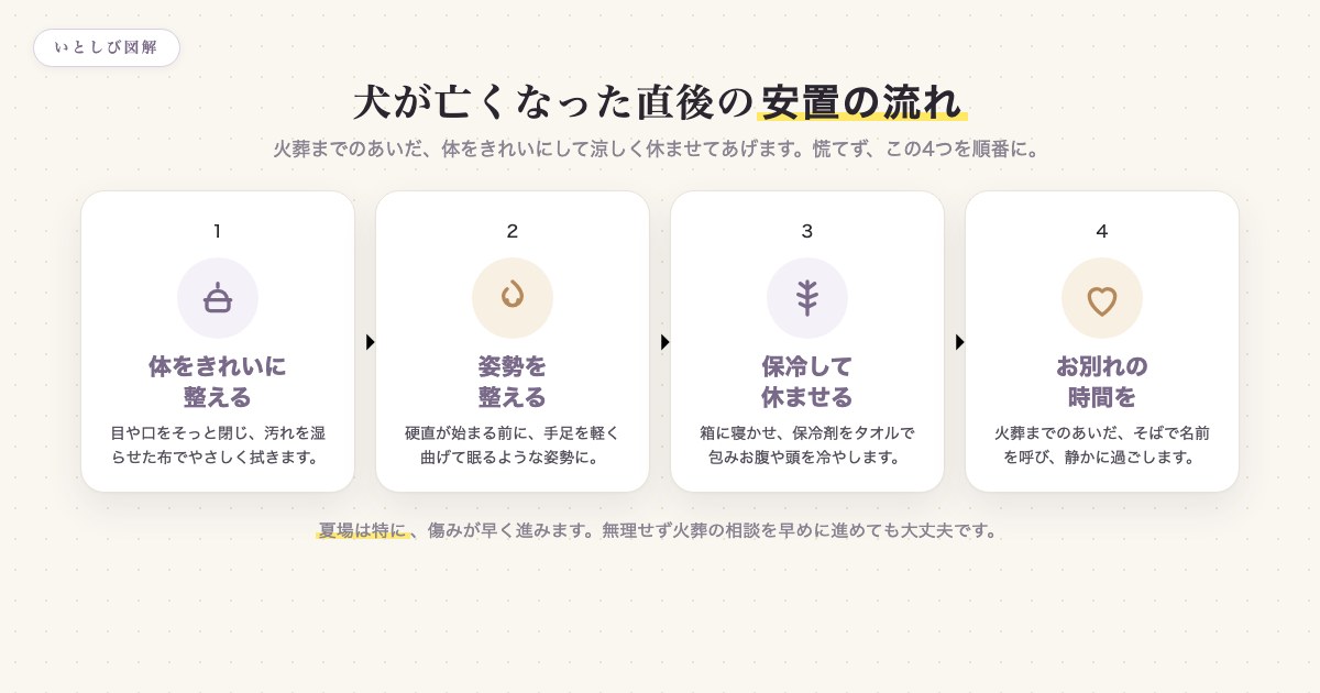 犬が亡くなった直後の安置の流れ(体を整える・姿勢を整える・保冷・お別れ)を示した図解