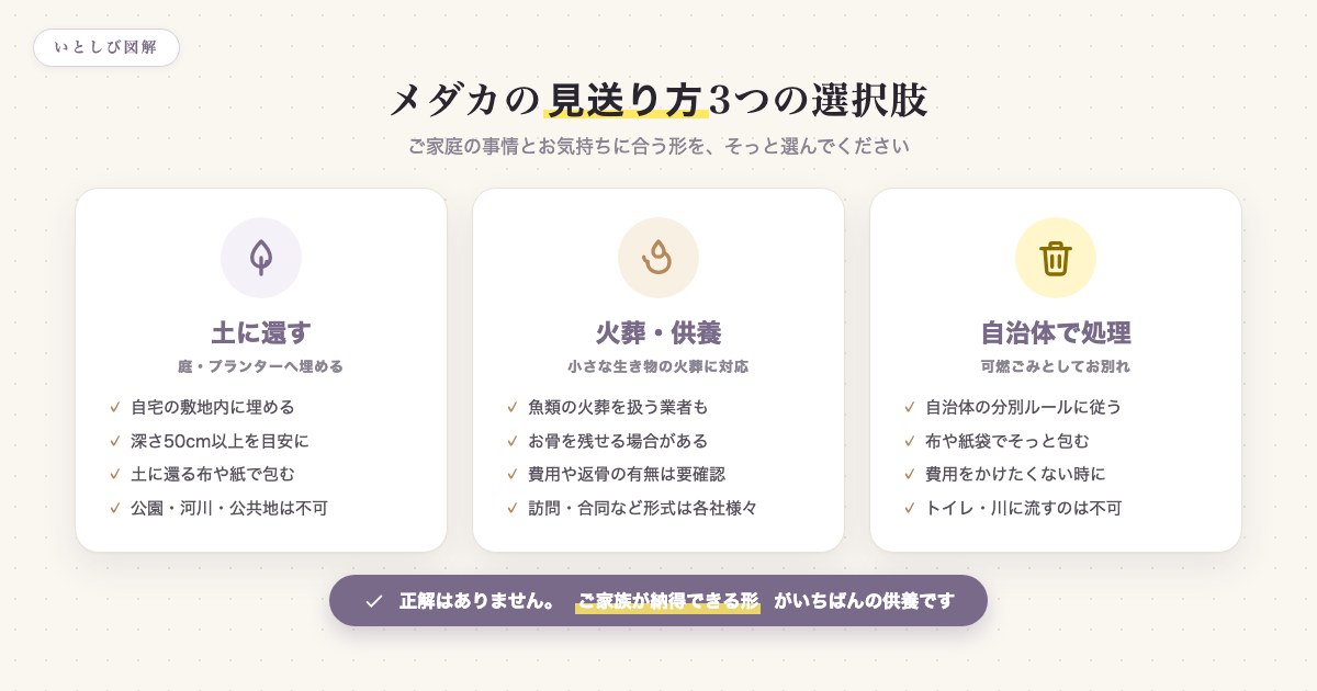 メダカの見送り方の3つの選択肢(土に還す・火葬供養・自治体で処理)を示した図