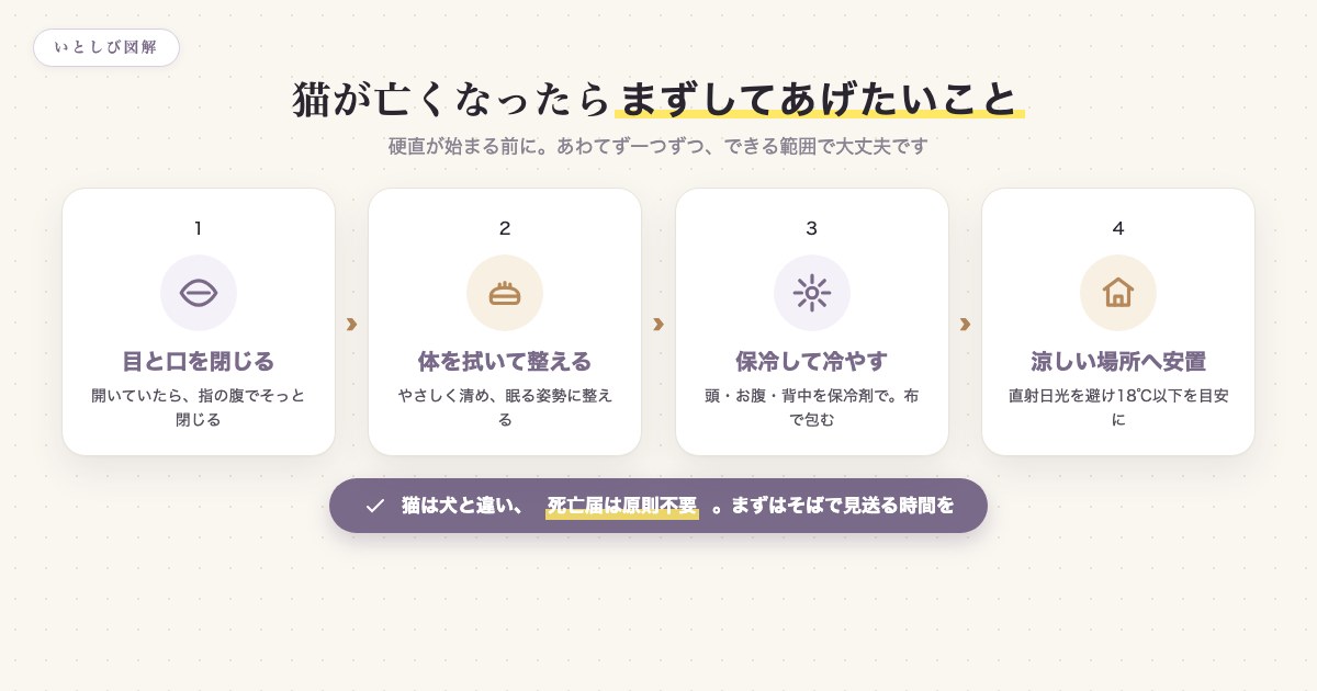 猫が亡くなった直後の安置の流れ(目と口を閉じる→体を拭く→硬直前に姿勢を整える→保冷して涼しい場所へ)を時系列で示した図