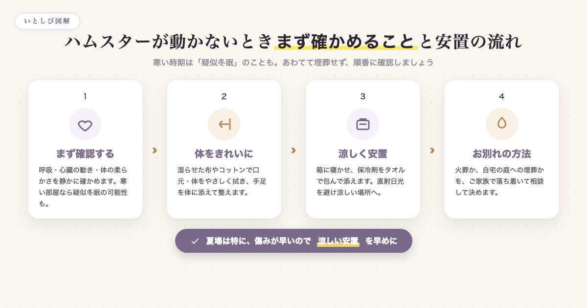 ハムスターが動かないときにまず確かめることと安置までの4ステップの流れ図