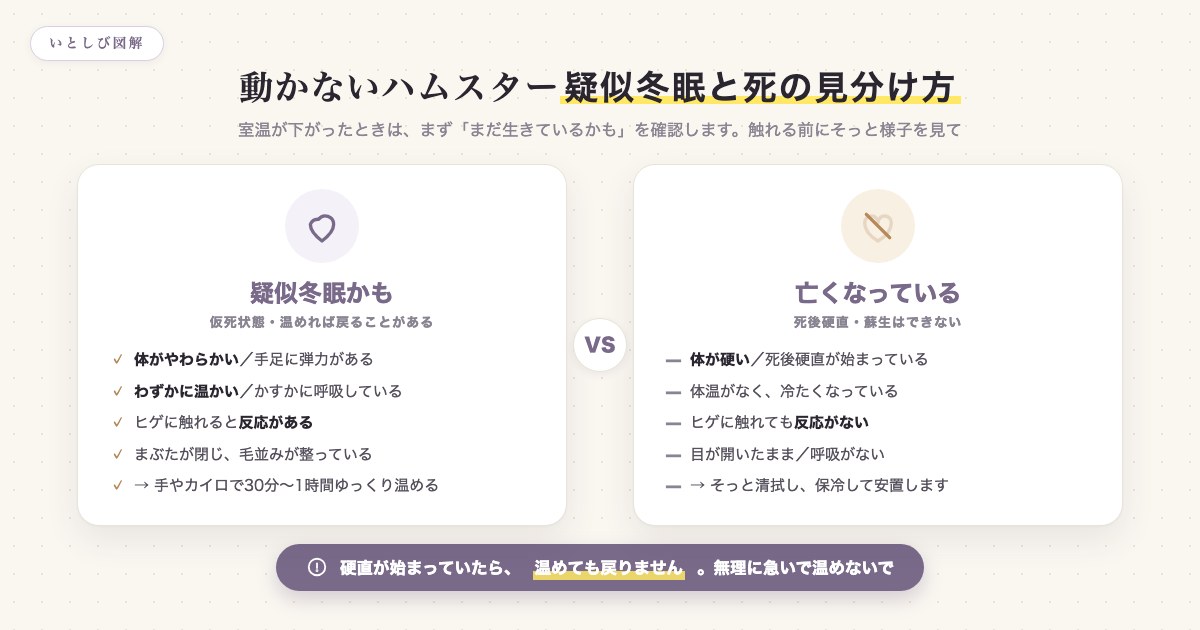 疑似冬眠と本当の死の見分け方。体のやわらかさ・体温・呼吸・ヒゲの反応で判断する比較図