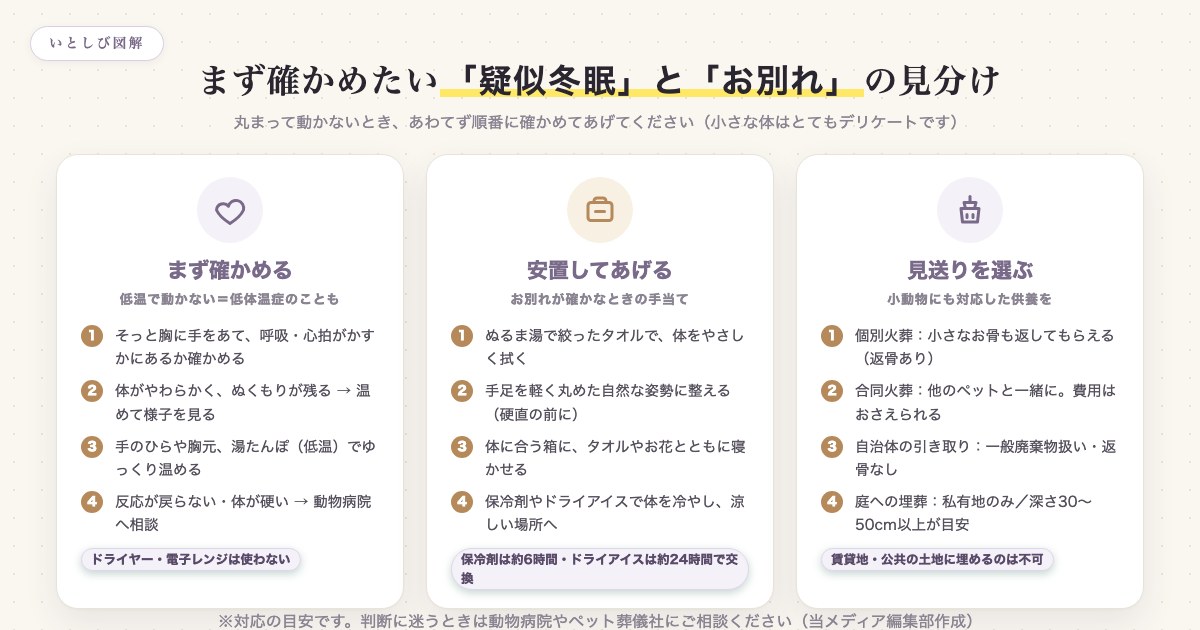 ハリネズミが動かないときの見分け方と安置・見送りの流れを示した図