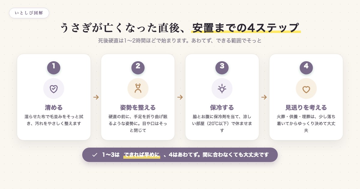 うさぎが亡くなった直後から安置までの4ステップ(清める・姿勢を整える・保冷する・見送りを考える)を示した図