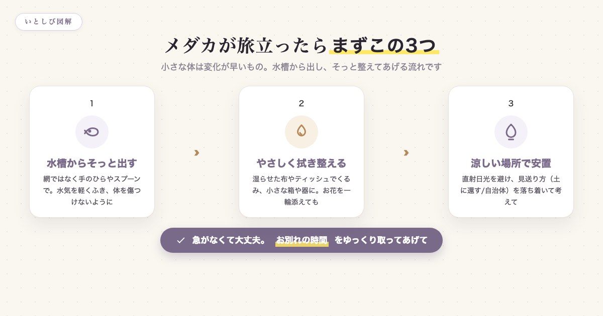メダカが亡くなった直後の安置の3ステップ(水槽から出す・拭き整える・涼しい場所で安置)