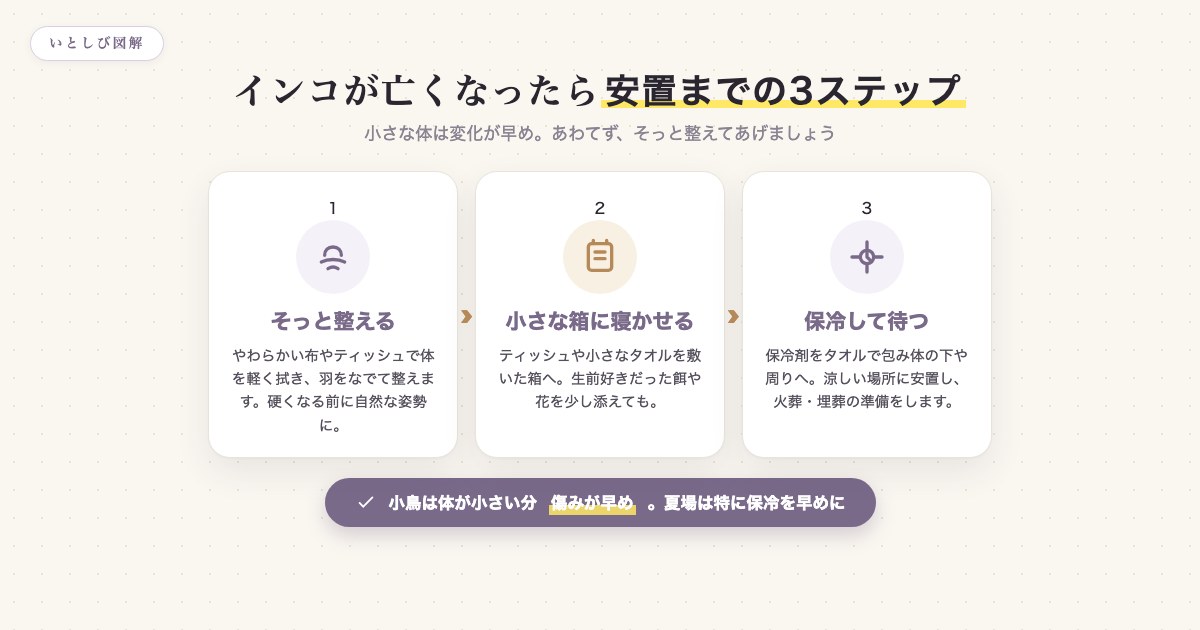 インコが亡くなったあとの安置の3ステップ(体を整える・箱に寝かせる・保冷する)を示した図