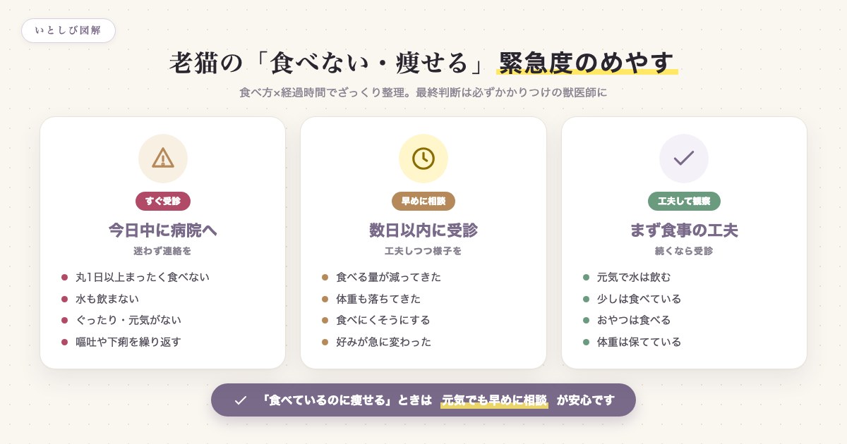 老猫が食べない・痩せるときの緊急度を食べ方と経過時間で整理した図解