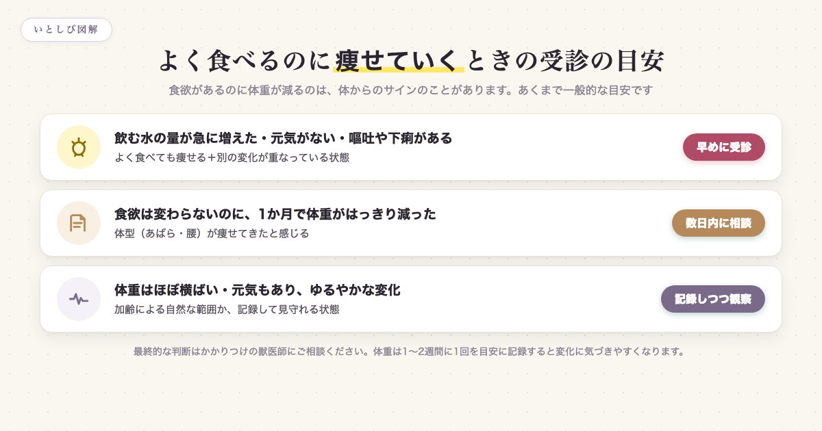 よく食べるのに痩せる老犬の受診の目安を痩せ方とサインで示した図