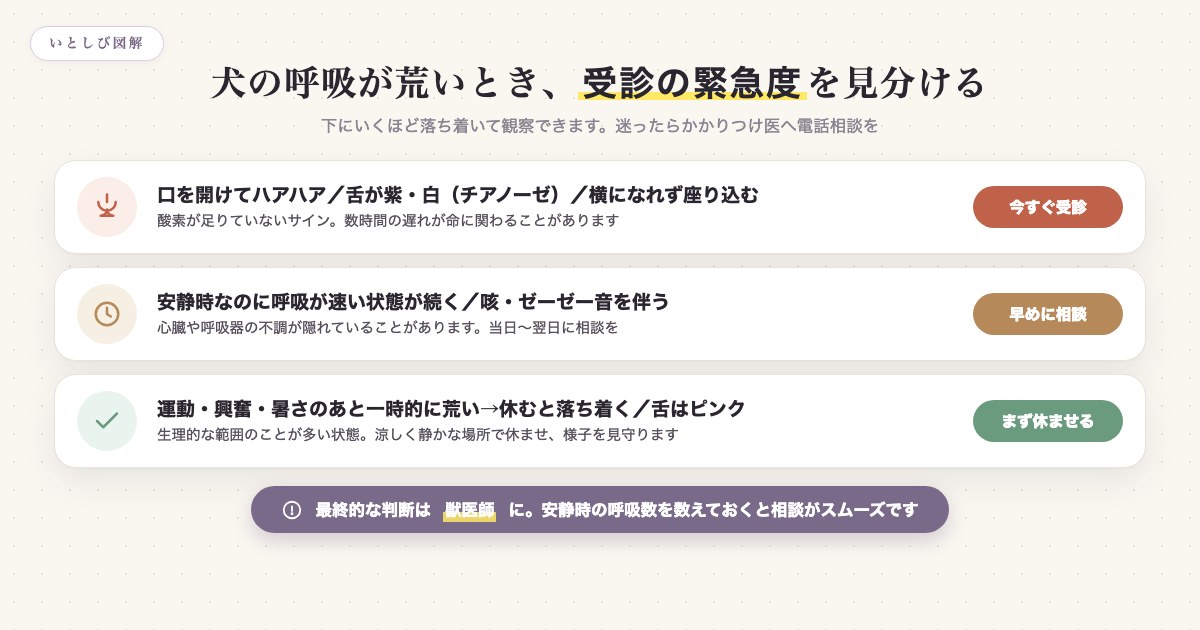 犬の呼吸が荒いときの緊急度の見分け方（今すぐ受診・早めに相談・まず休ませる）