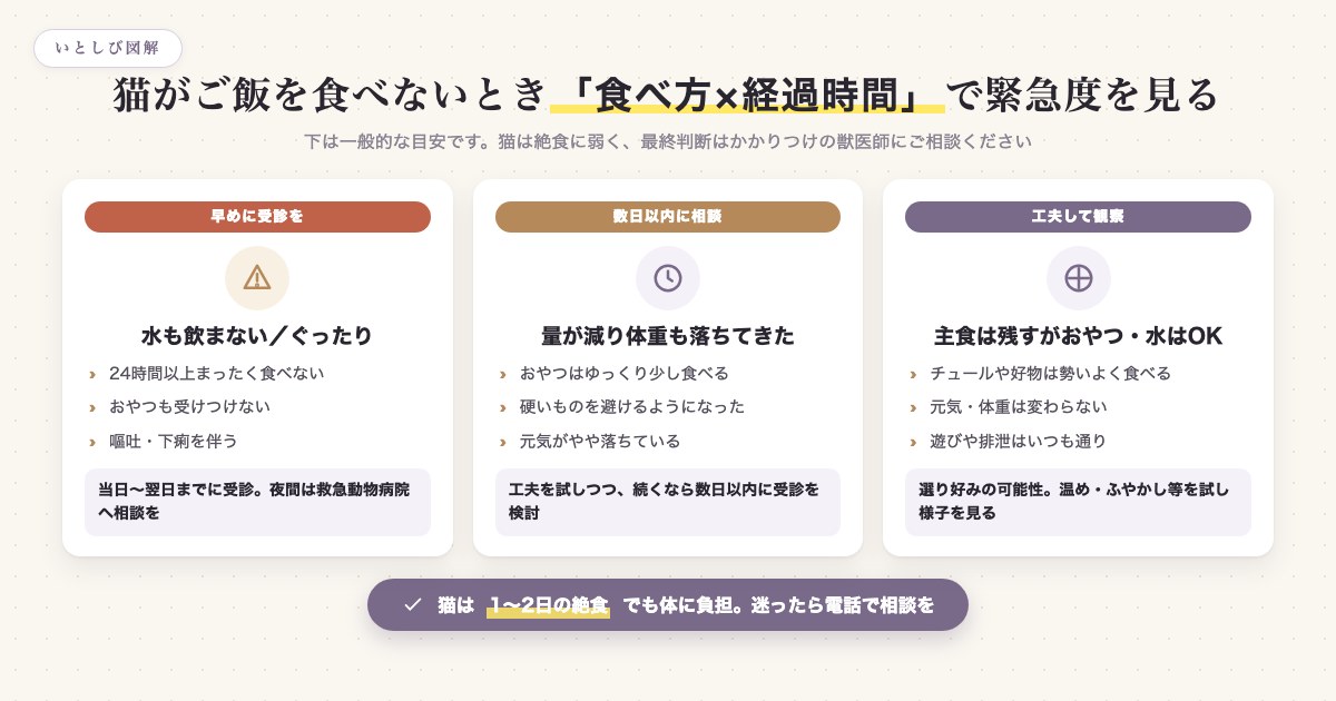 猫がご飯を食べないときの食べ方と経過時間から見る緊急度の目安
