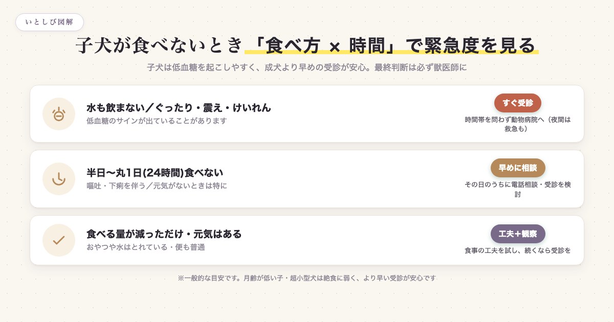 子犬が食べないときの食べ方と経過時間による緊急度の目安