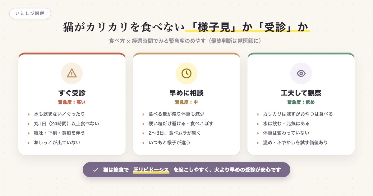 猫がカリカリを食べないときの食べ方×経過時間でみる緊急度のめやす