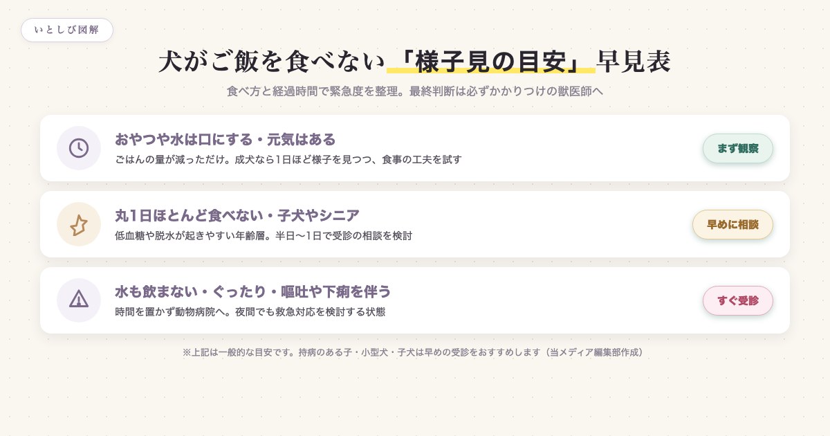 犬がご飯を食べないときの緊急度を食べ方と経過時間で整理した早見表