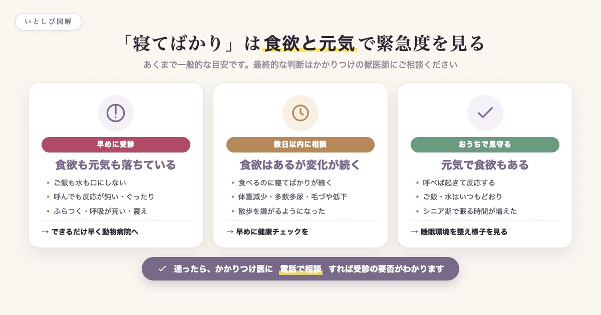 犬が寝てばかりのときの緊急度を食欲と元気で見分ける図解