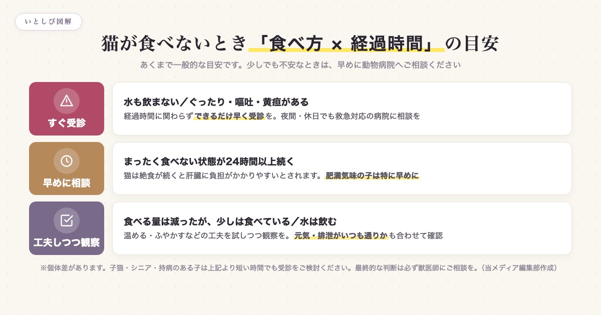 猫が食べないときの食べ方と経過時間による緊急度の目安