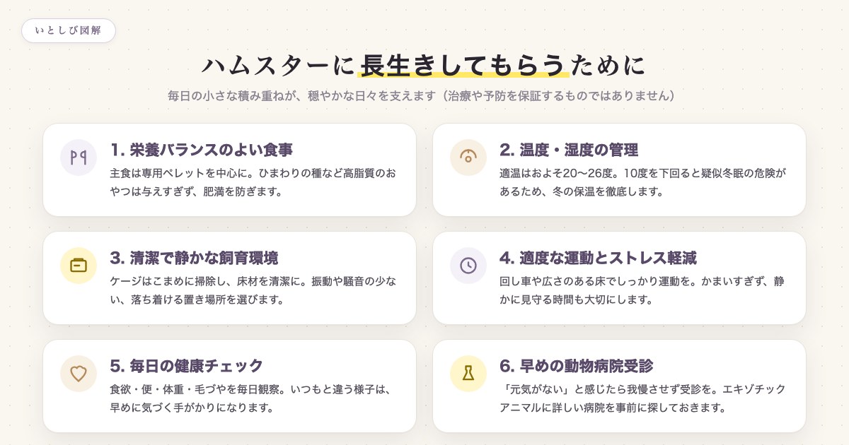 ハムスターに長生きしてもらうためにできる6つのこと