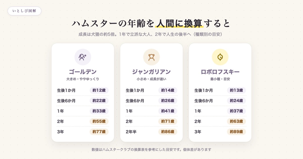 ハムスターの年齢を人間に換算した種類別の早見表