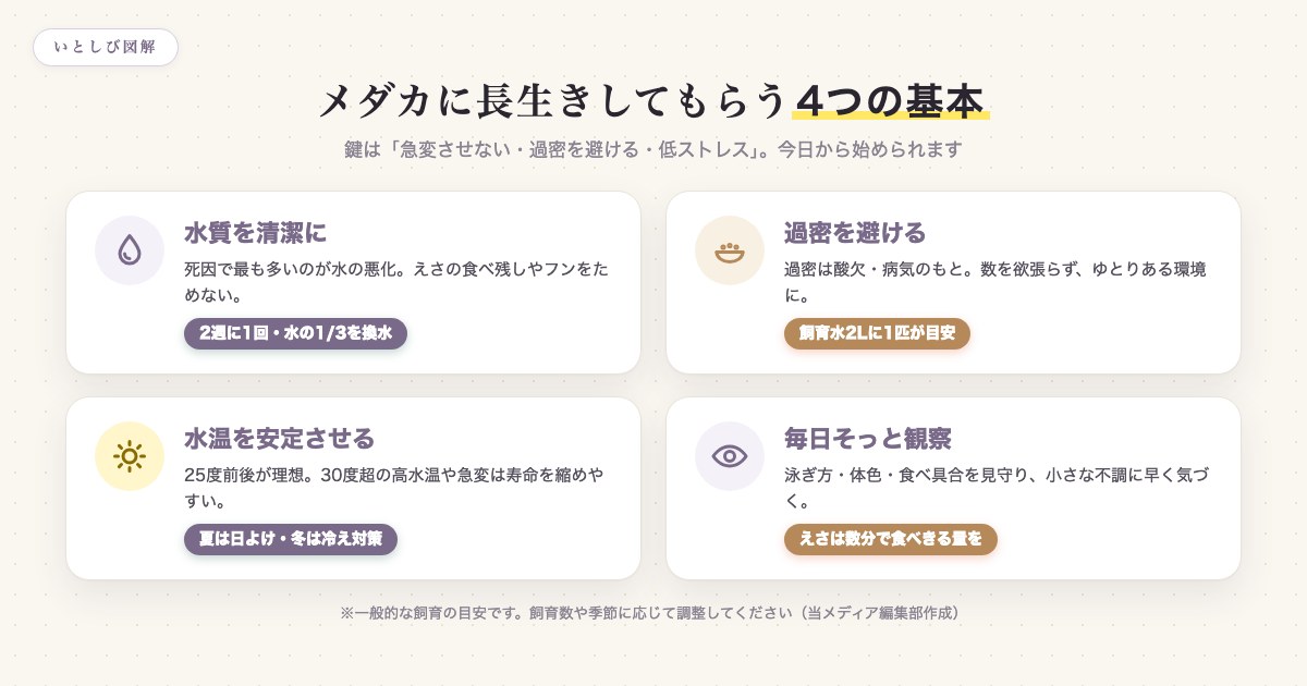 メダカに長生きしてもらう4つの基本。水質・過密回避・水温・観察のポイントをまとめた図