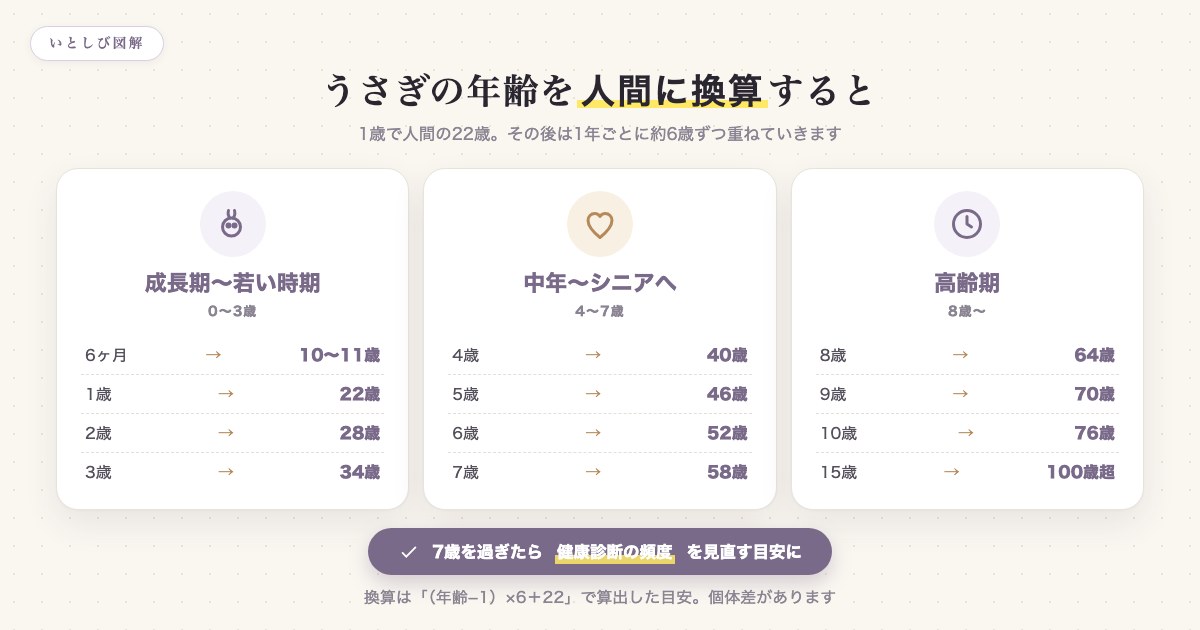 うさぎの年齢を人間年齢に換算した早見表。1歳で22歳、7歳で58歳など