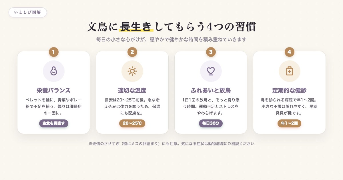 文鳥に長生きしてもらうための4つの習慣。栄養バランス・適切な温度・ふれあいと放鳥・定期健診