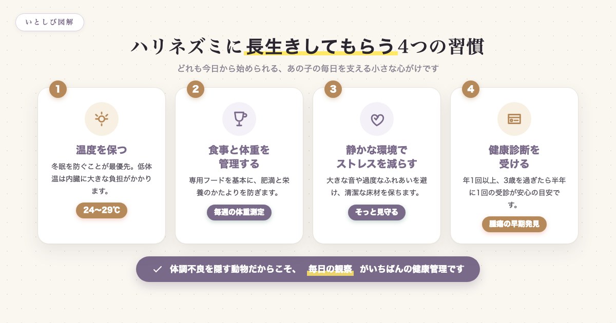 ハリネズミに長生きしてもらうための4つの習慣（温度管理・食事と体重管理・ストレス軽減・健康診断）をまとめた図解