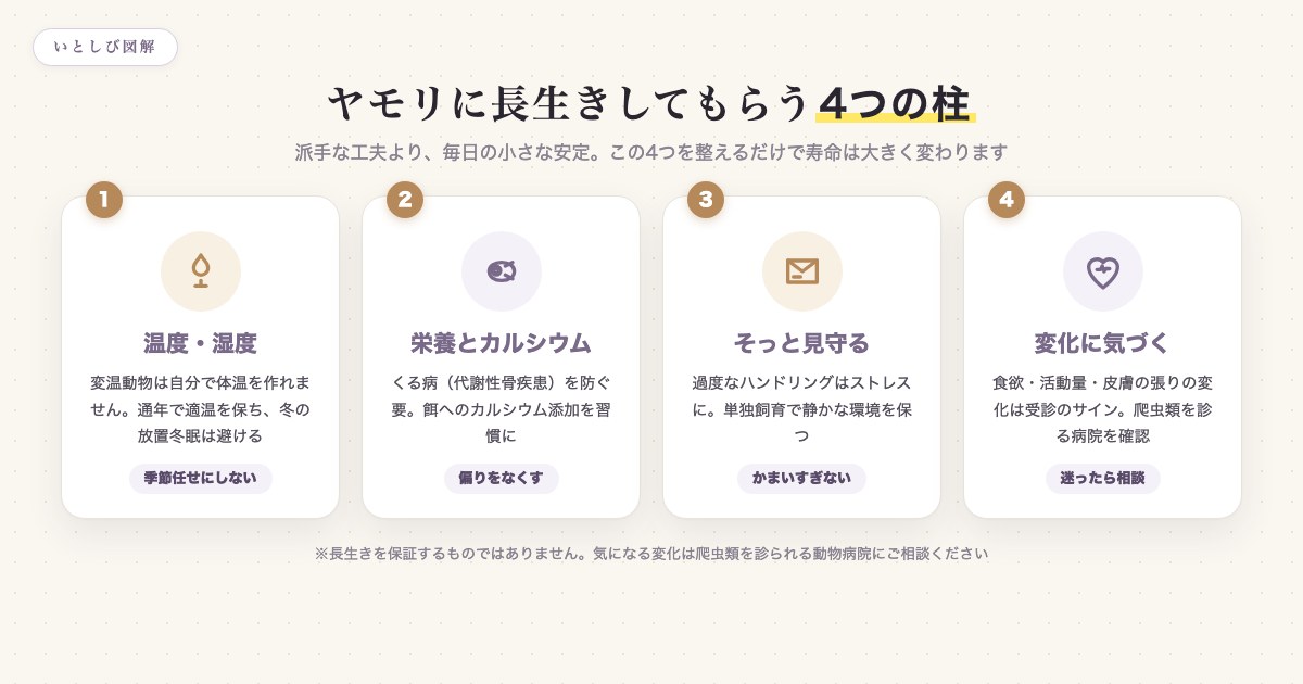 ヤモリに長生きしてもらうための4つのポイントをまとめた図