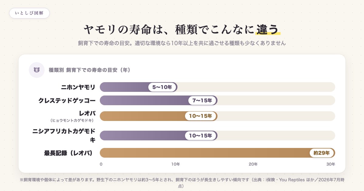種類別のヤモリの飼育下での寿命の目安を比較した早見表