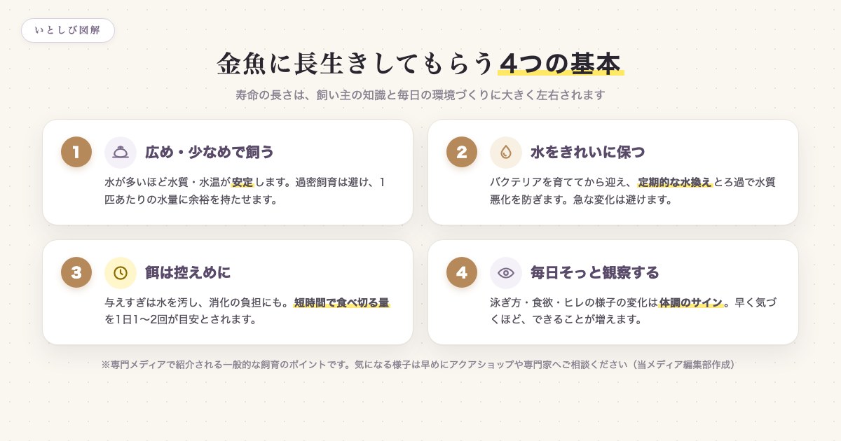 金魚に長生きしてもらう4つの基本を示した図解