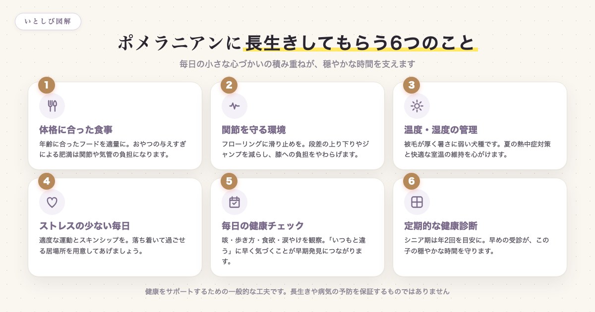 ポメラニアンに長生きしてもらうためにできる6つのこと