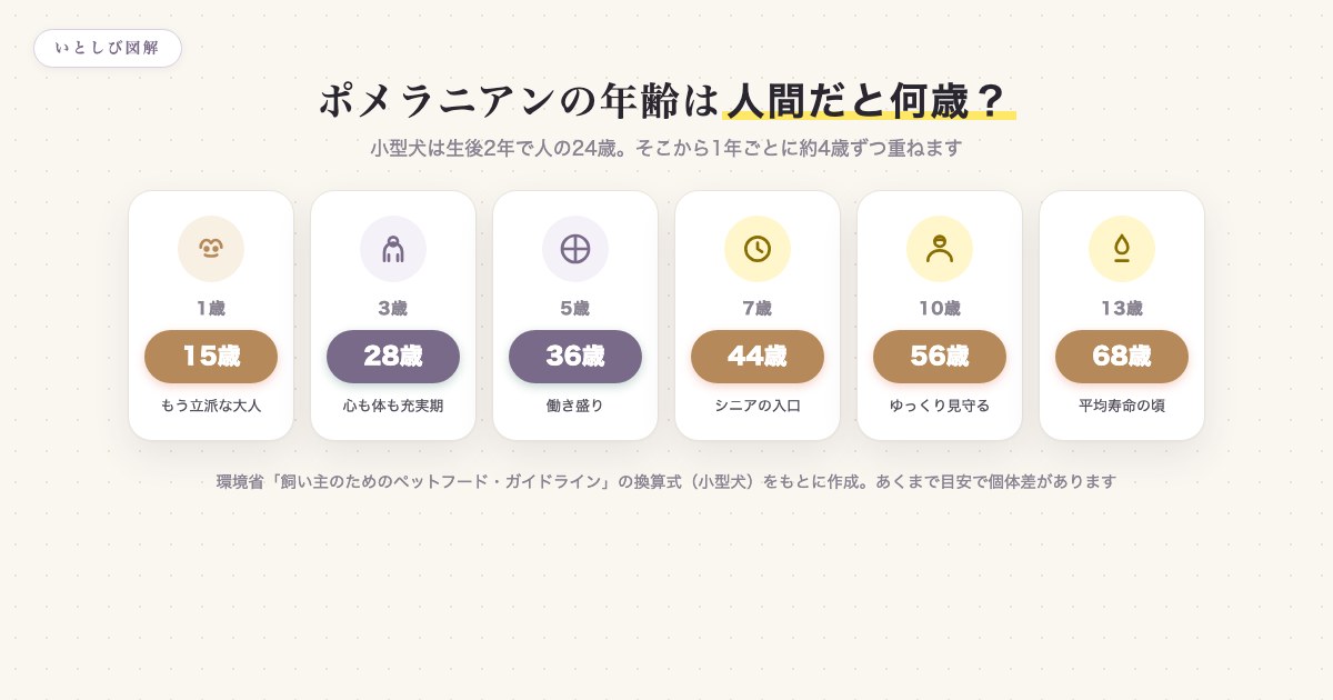ポメラニアンの年齢を人間に換算した早見表
