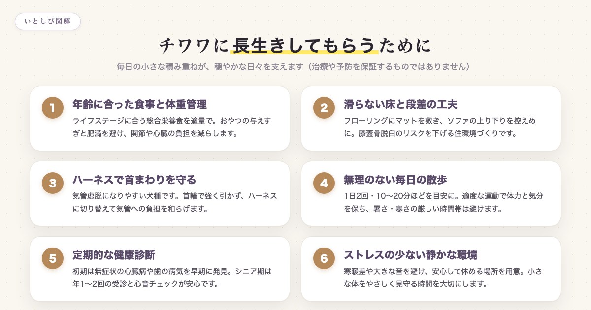 チワワに長生きしてもらうためにできる6つのこと