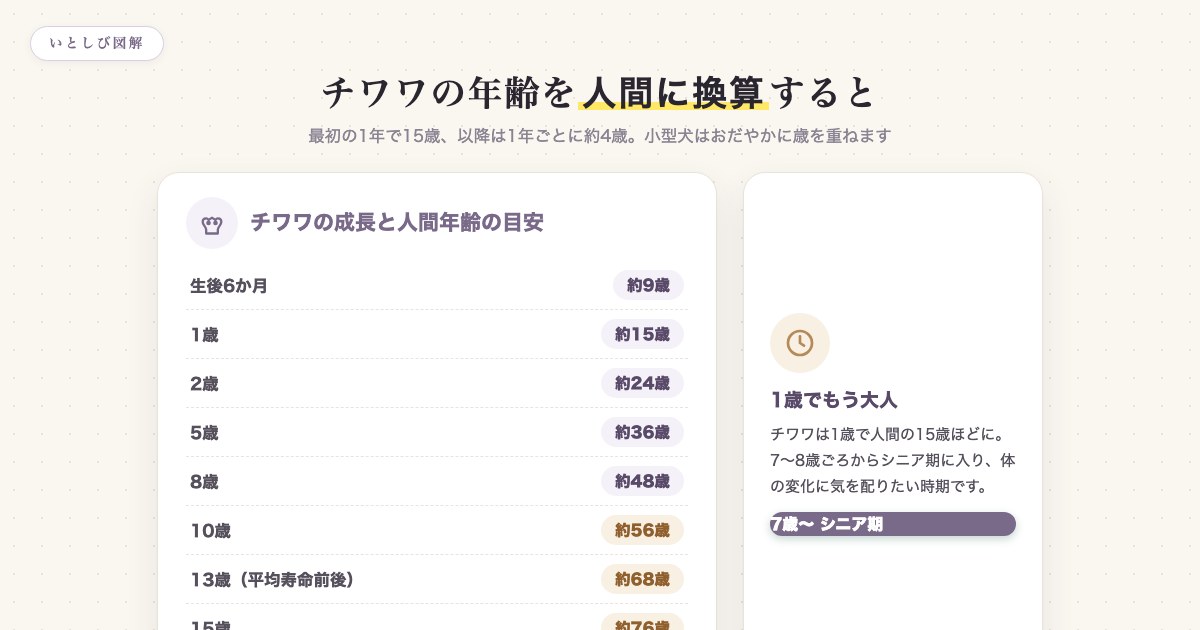 チワワの年齢を人間に換算した早見表