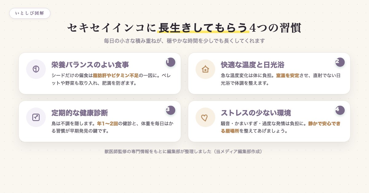 セキセイインコに長生きしてもらうための4つの習慣