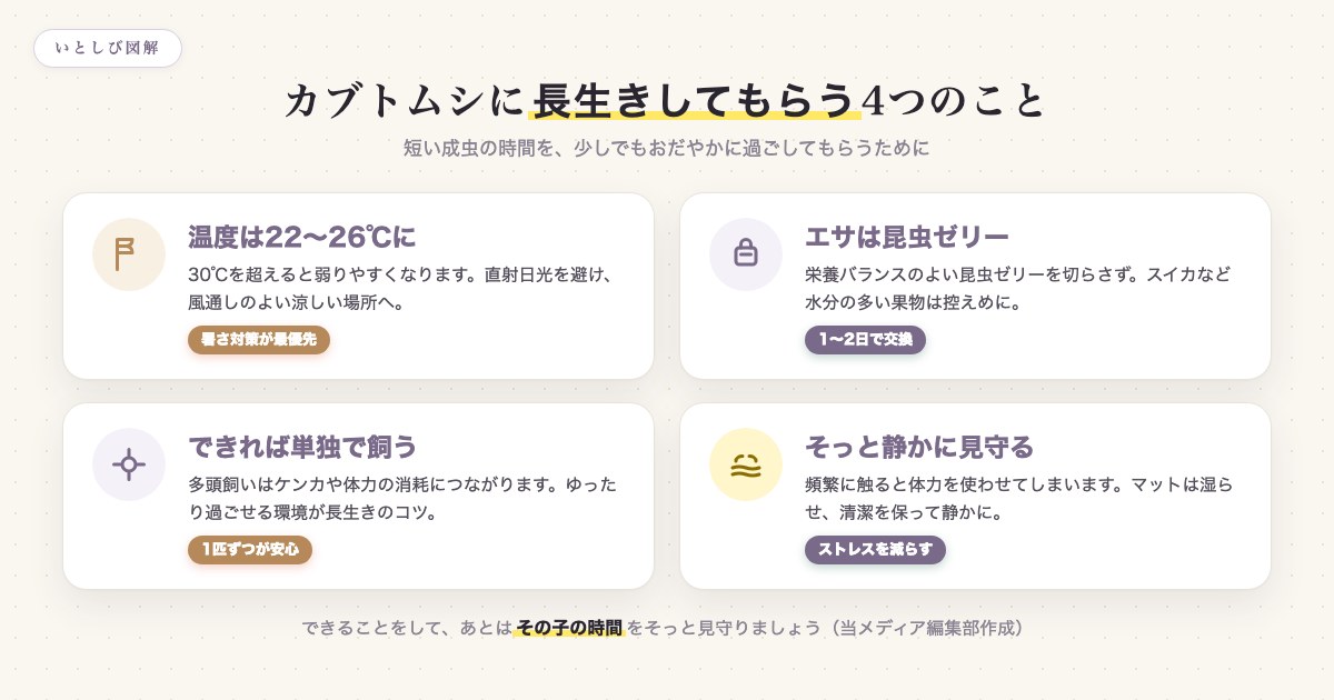 カブトムシに長生きしてもらうための4つの飼い方のポイントを示した図