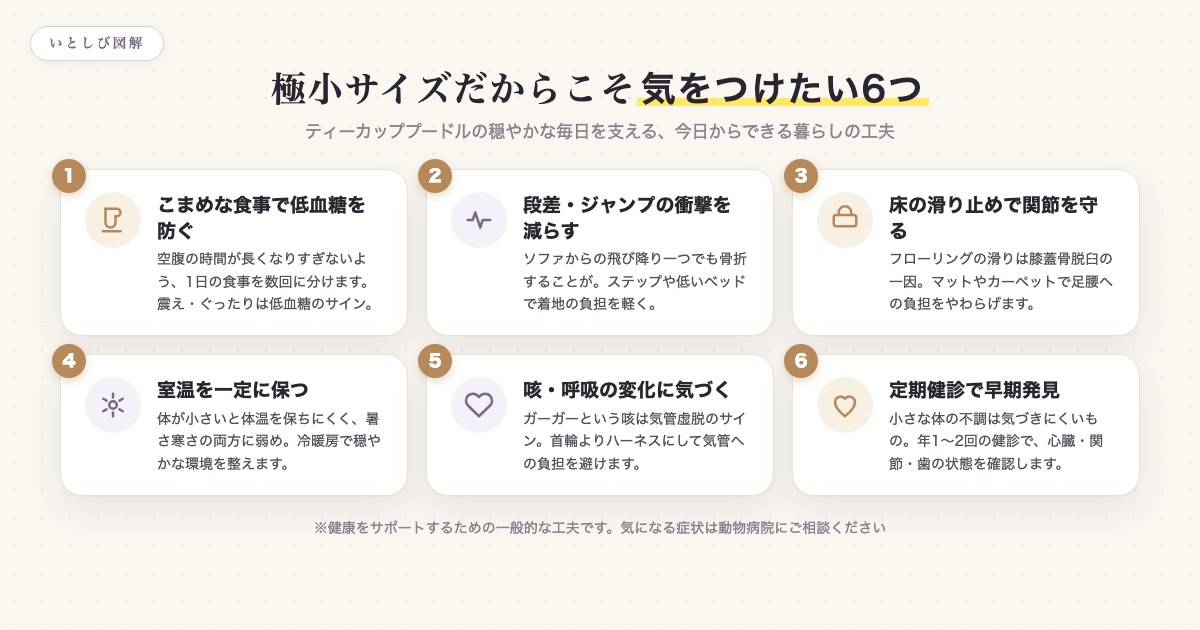 ティーカッププードルの長生きのために気をつけたい6つのこと