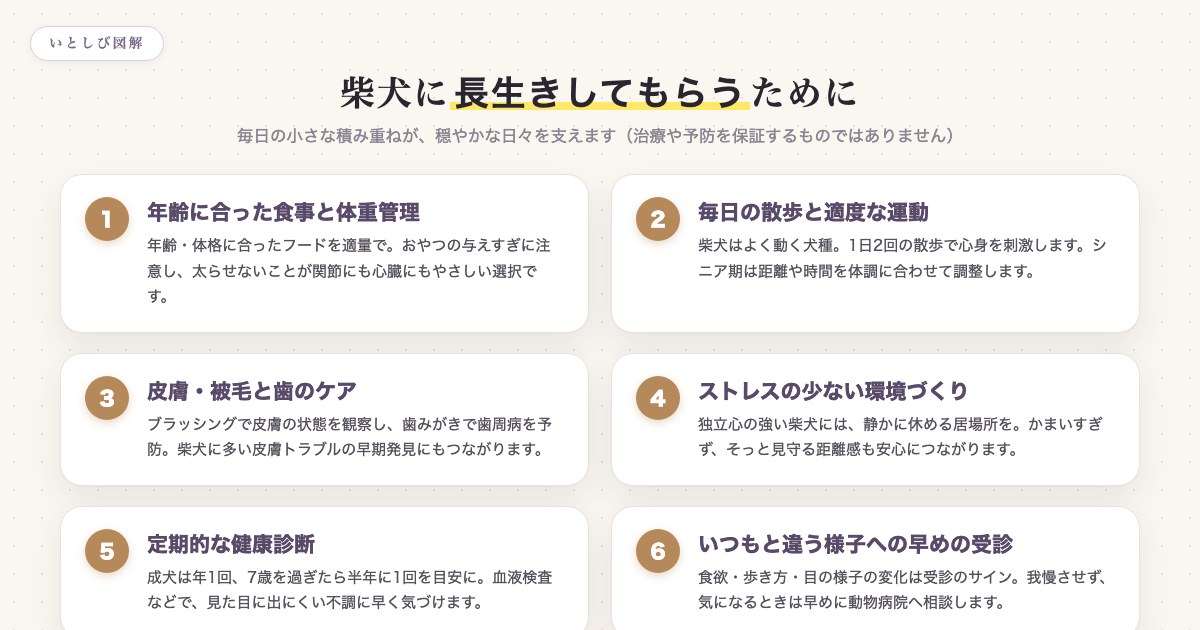 柴犬に長生きしてもらうためにできる6つのこと。食事と体重管理、散歩、皮膚と歯のケア、環境づくり、健康診断、早めの受診を示した図解