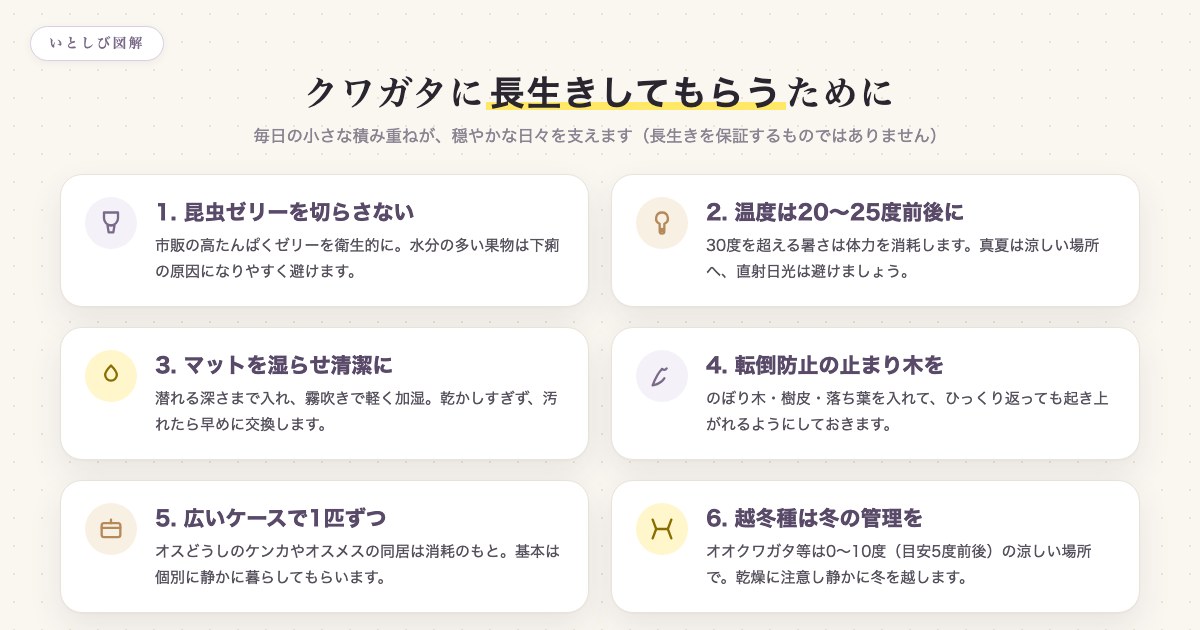 クワガタに長生きしてもらうためにできる6つのこと