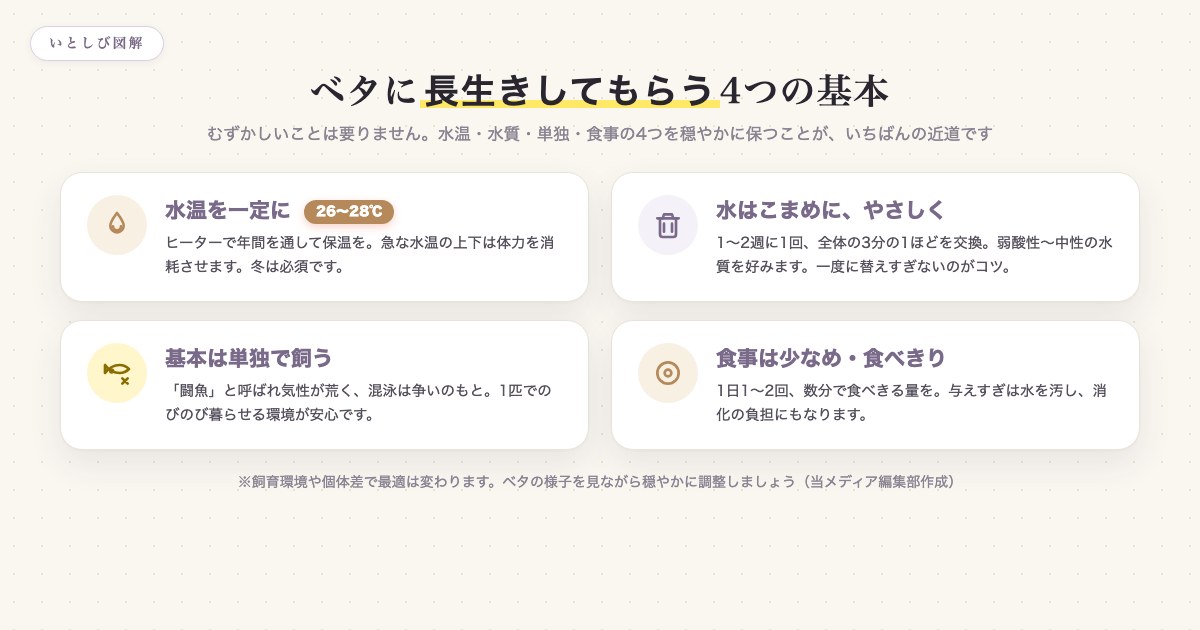 ベタに長生きしてもらうための4つの基本(水温・水質・単独・食事)をまとめた図