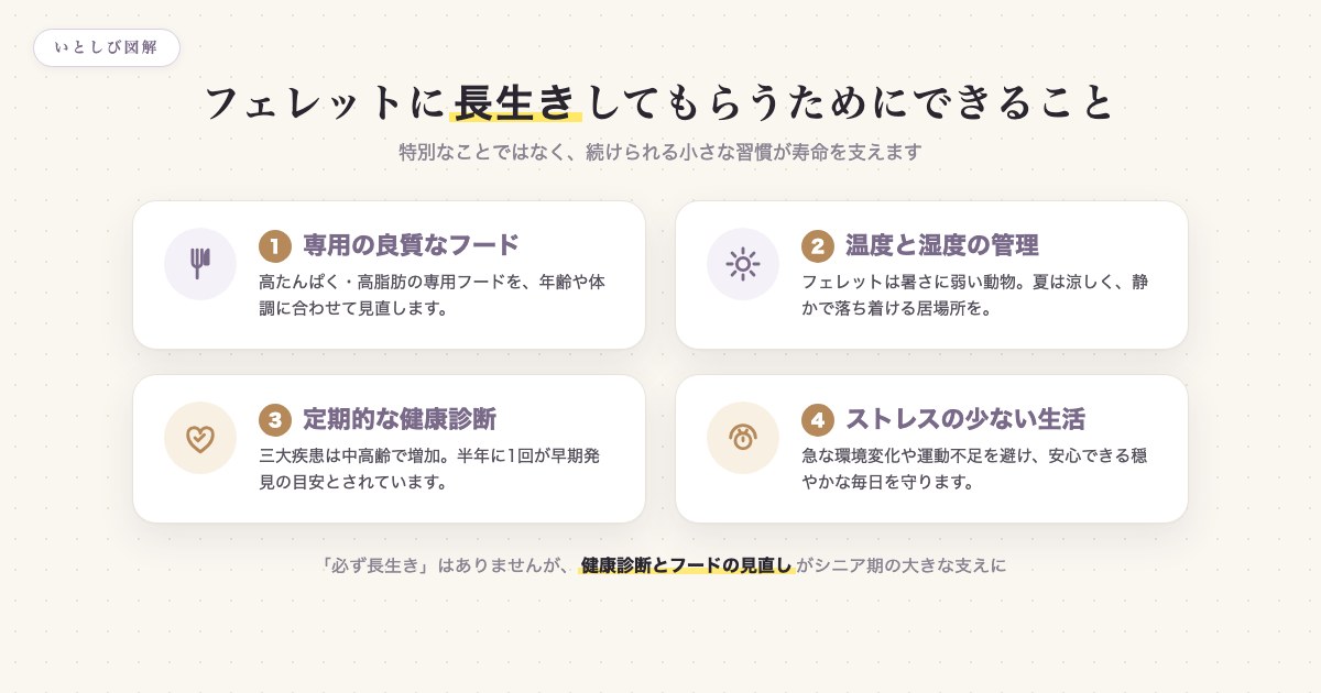 フェレットに長生きしてもらうためのポイントの図解