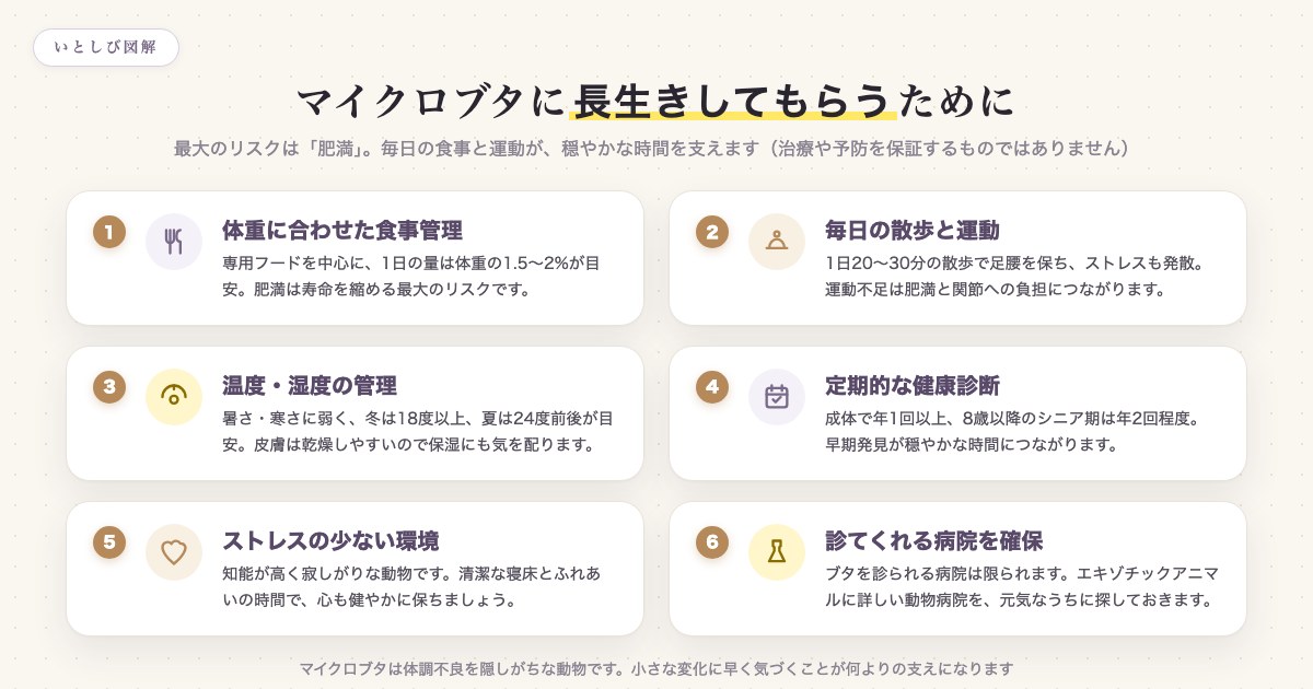 マイクロブタに長生きしてもらうためにできる6つのこと
