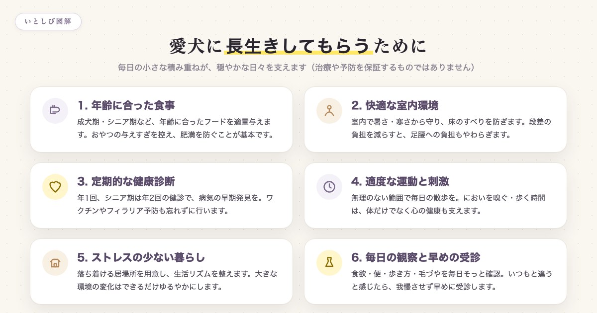 愛犬に長生きしてもらうためにできること6つのポイント