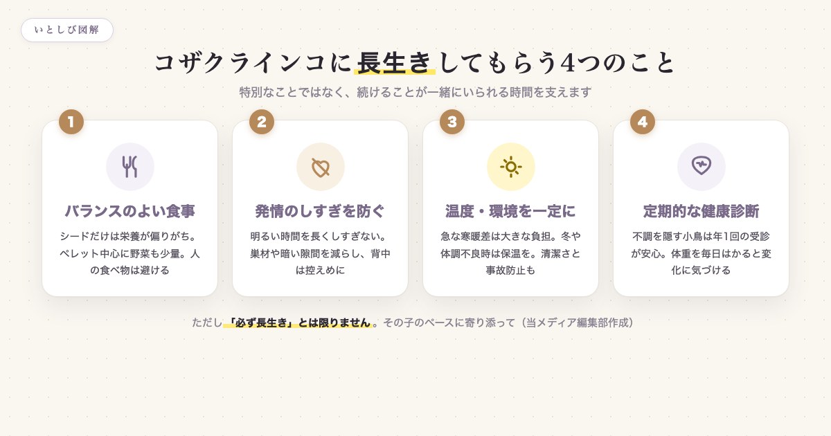 コザクラインコに長生きしてもらうための4つのポイント