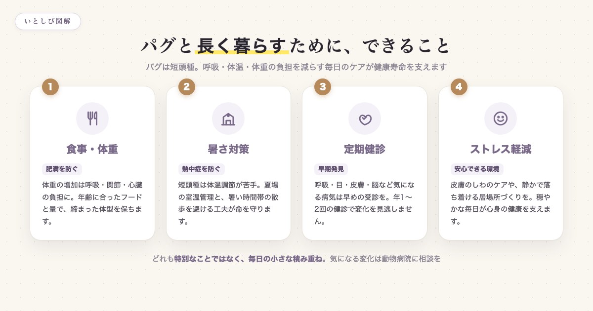 パグに長生きしてもらうためにできる4つのこと。食事・体重管理、暑さ対策、定期健診、ストレス軽減