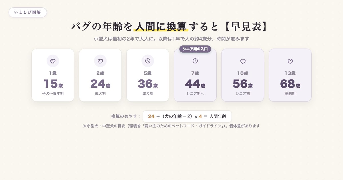 パグの年齢を人間に換算した早見表。1歳で15歳、2歳で24歳、以降1年ごとに約4歳を加算する