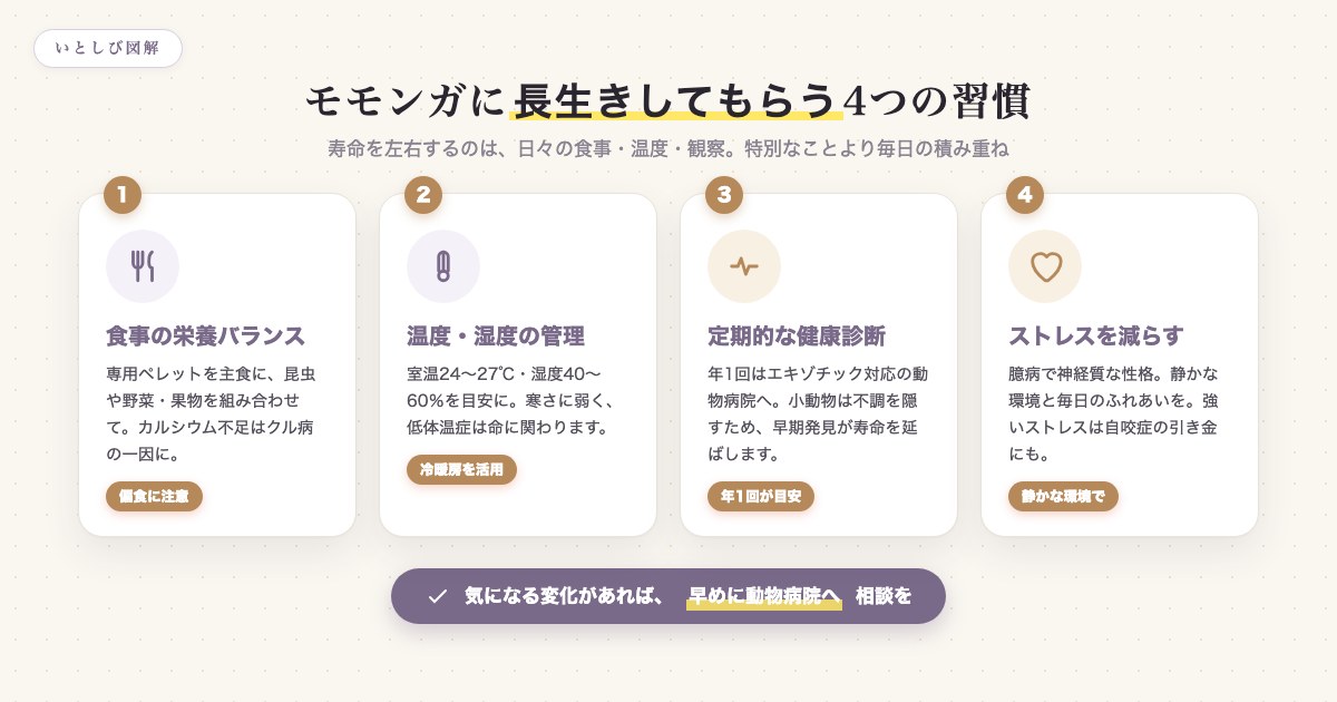 モモンガに長生きしてもらう4つの習慣。食事の栄養バランス、温度・湿度の管理、定期的な健康診断、ストレスを減らす