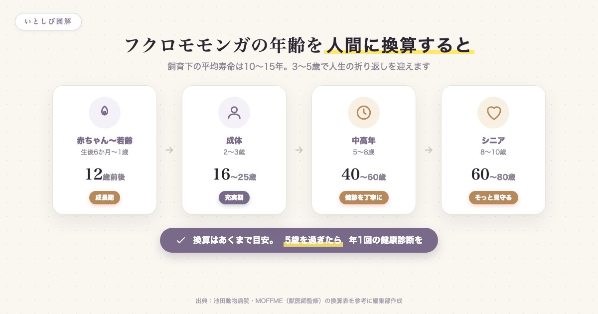 フクロモモンガの年齢を人間に換算した早見表。生後6か月〜1歳で12歳、2〜3歳で16〜25歳、5〜8歳で40〜60歳、8〜10歳で60〜80歳