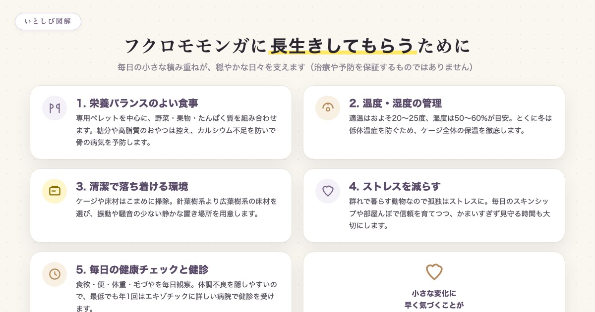 フクロモモンガに長生きしてもらうための5つの工夫の図解