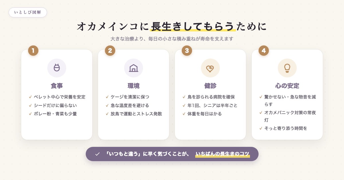 オカメインコに長生きしてもらうための4つの習慣。食事・環境・健診・心の安定