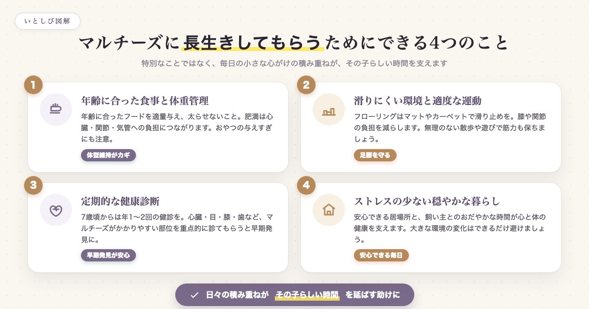 マルチーズに長生きしてもらうためにできる4つのこと
